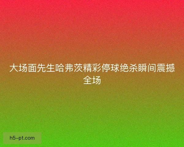 大场面先生哈弗茨精彩停球绝杀瞬间震撼全场 大场面先生哈弗茨精彩停球绝杀瞬间震撼全场